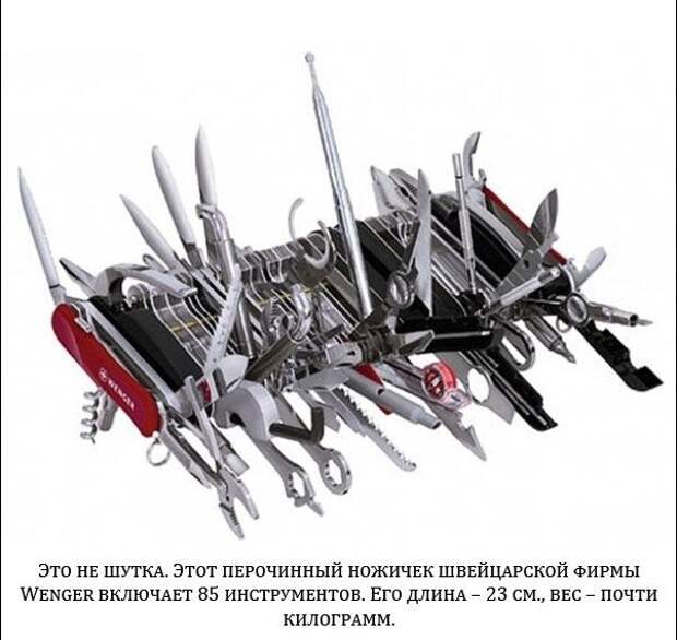Настоящие снимки, которые не были обработаны (20 фото)