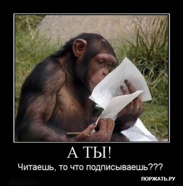 Демы как они есть