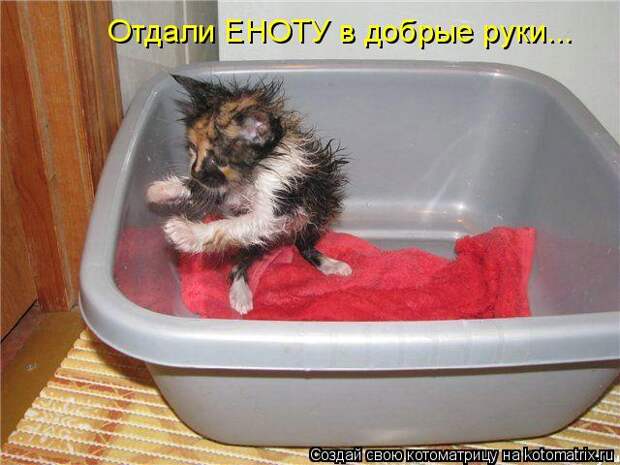 3802001_1_33 (640x480, 51Kb)