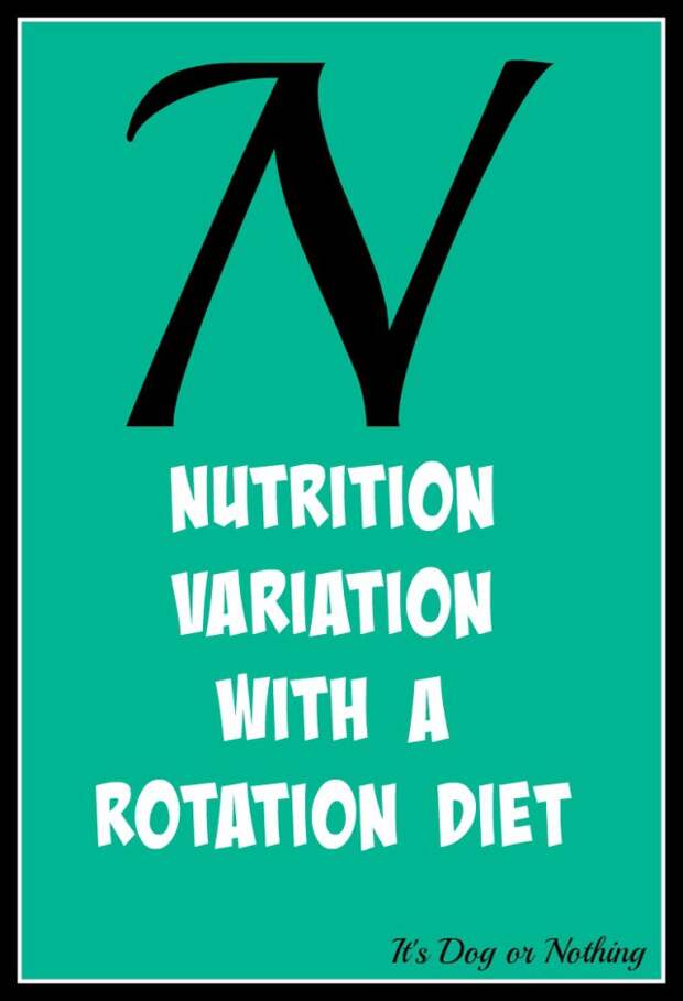 When it comes to giant breed health and nutrition, there's a lot that goes into raising a happy, healthy dog. We're going from A to Z talking about giant breed specific needs! Today, it's all about feeding your giant breed dog a rotation diet.