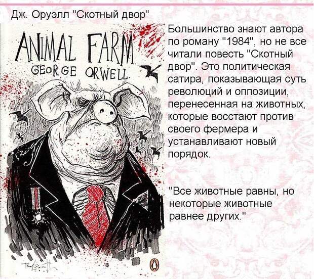 Прекрасное книжное будущее книги, чтение