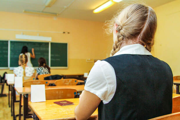 образование, школьница, школа, ЕГЭ|Фото: volganet.ru
