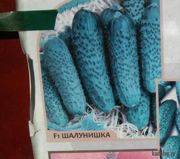 Прикольные семена (35 фото)