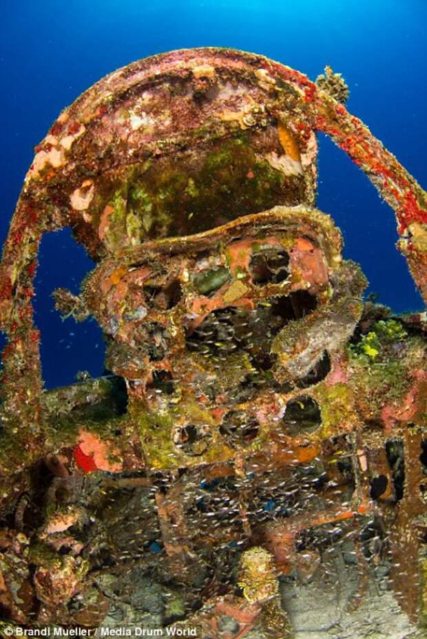 Подводное кладбище самолетов времен Второй мировой войны находка, океан, самолет