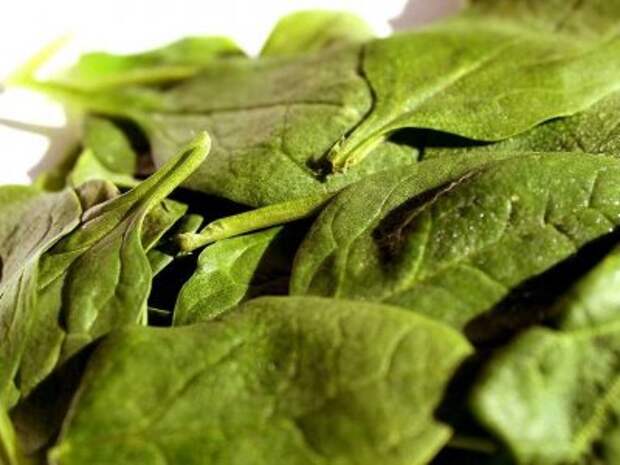 leafy-greens-are-full-of-iron-that-improves-concentration-levels