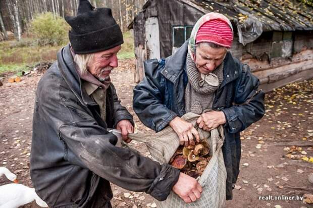 333 800x532 Белорусские отшельники уже 20 лет живут без света, газа и водопровода, но на своей земле