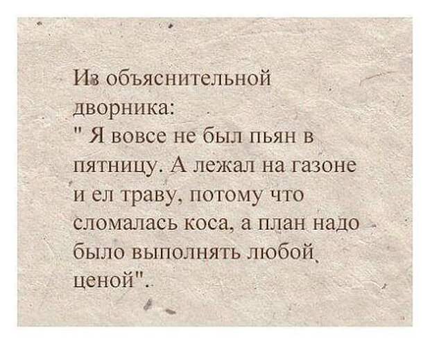 Прикольные фотомемы для хорошего настроения (31 шт)