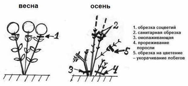 obrezka