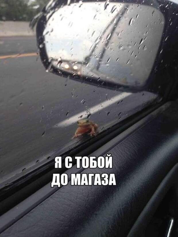 Подборка автоприколов. Часть 133 авто, автоприколы, приколы