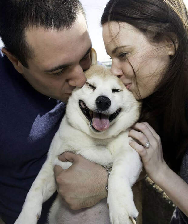 Meet Cinnamon, The World’s Happiest Dog Who Never Stops Smiling Despite Her Illnesses