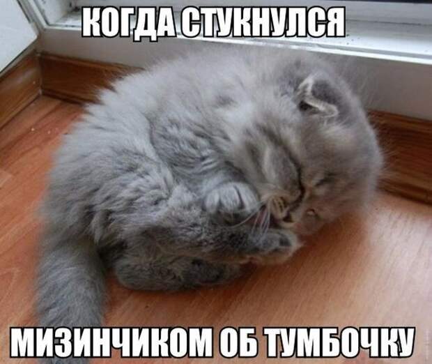 Смехопанорама. Лучшая подборка