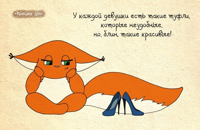 мир глазами белки, Крошка Ши 