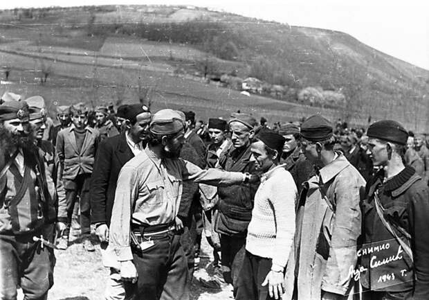 Вторая Мировая. 1941-1945. Движение четников в Югославии