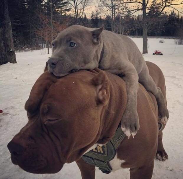 Фотоподборка
