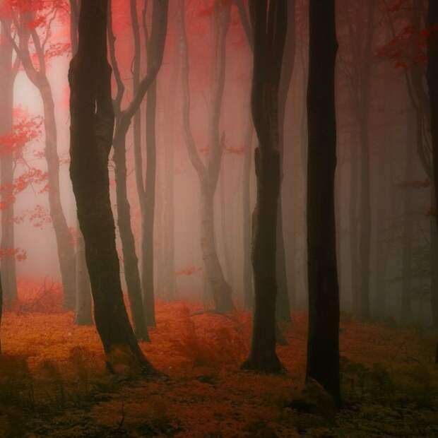 Красивые фотографии чешского фотографа Janek Sedlar