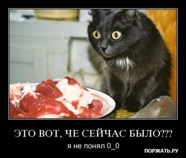Демотиваторы с приколом, на все вкусы.