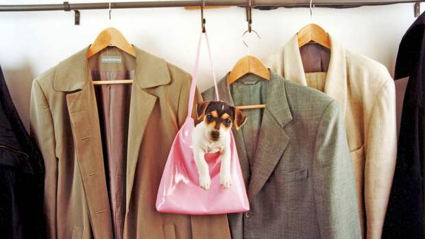 Гардеробная мечты в обычной квартире: создаем пространство на трех квадратных метрах