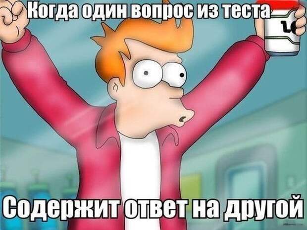 Смешные картинки с подписями катинки, прикол, юмор