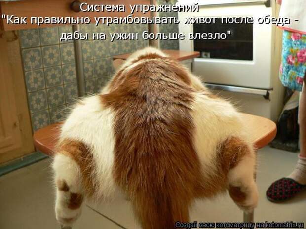 3802001_1_19 (700x524, 61Kb)