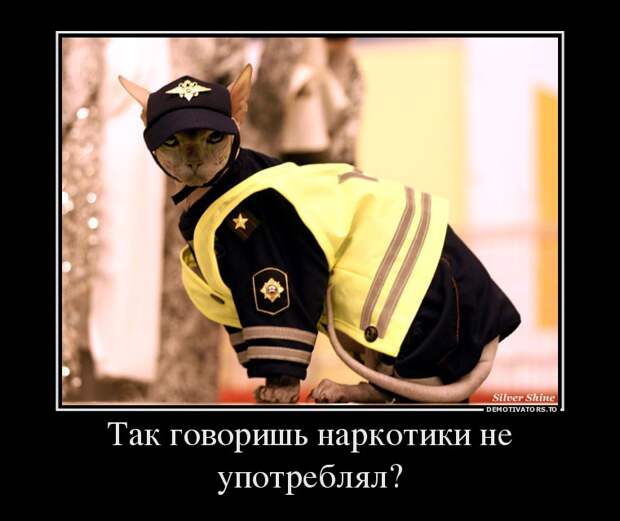 Демотиваторы демотиваторы, юмор