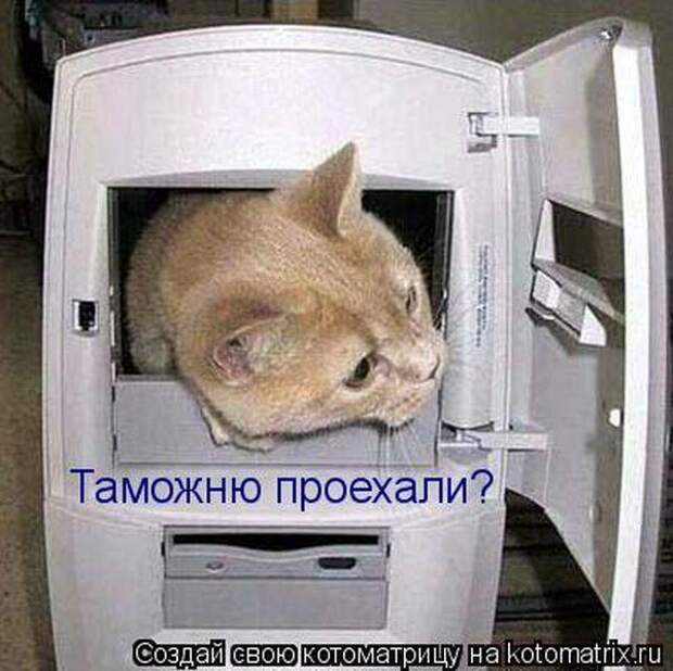Котоматрица Котоматрица