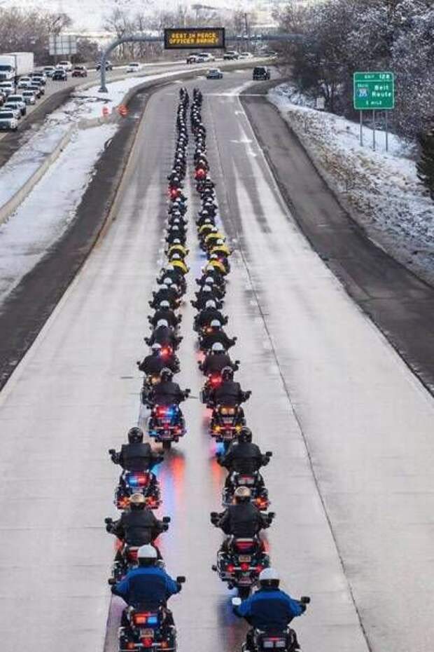 Прикольные картинки. Дневной выпуск (59 фото)