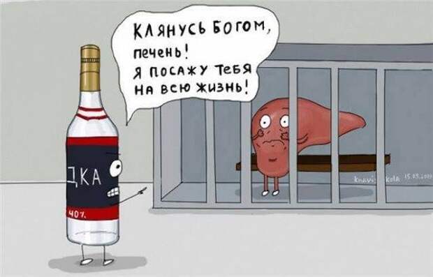 водка и печень
