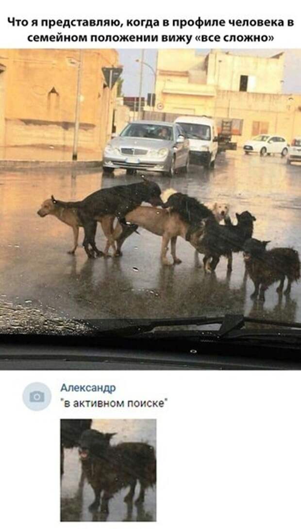В активном поиске В активном поиске