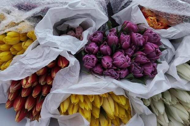 Тамбовчанам рассказали, как правильно выбрать цветы к 8 Марта