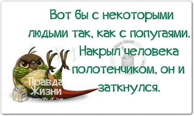 Вот бы с некоторыми людьми так, как с попугаями