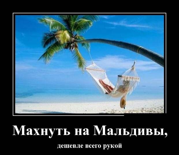 Демотиваторы (30 фото)