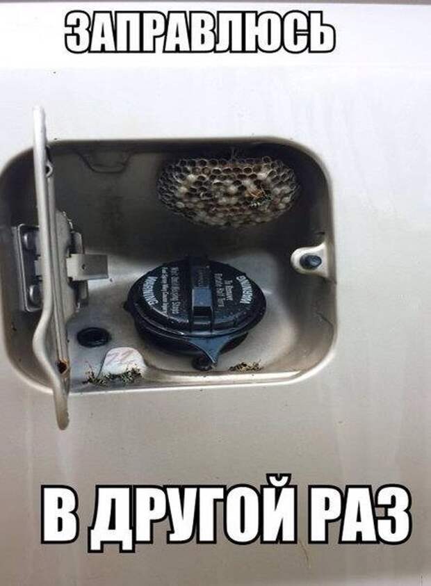 Подборка автоприколов - 11