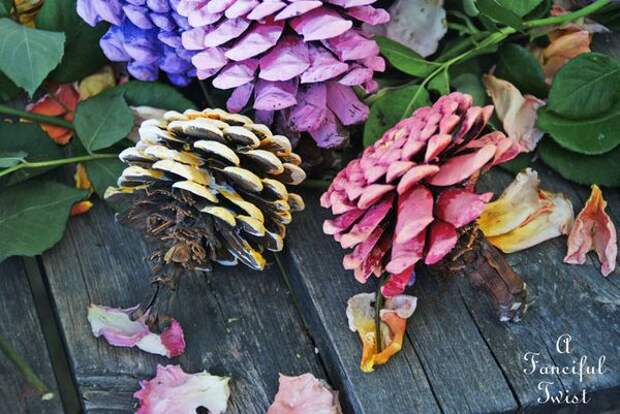 Pinecone flowers 5