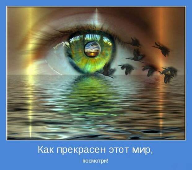 Мотиваторы