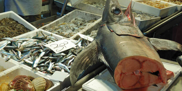 Здесь и далее - фото с итальянских  рыбных рынков