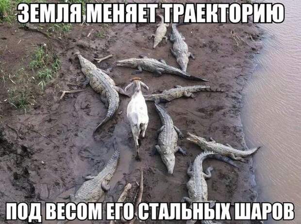 Прикольные картинки (95 фото)
