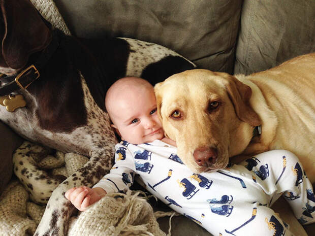 Две няньки  дружба, ребенок, собака