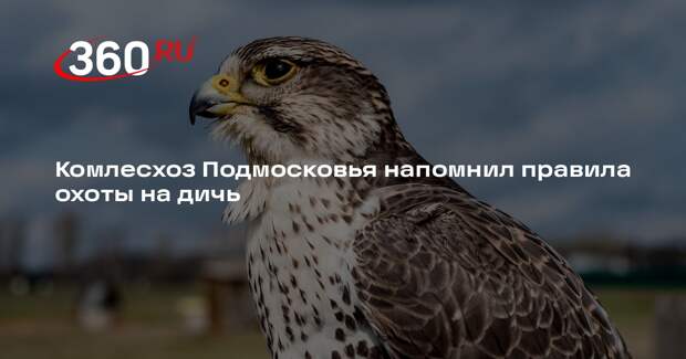 Комлесхоз Подмосковья напомнил правила охоты на дичь