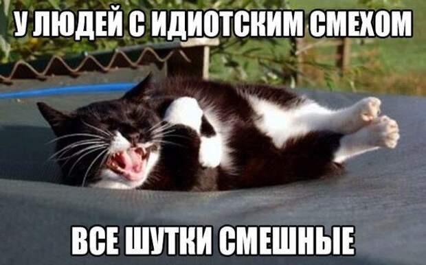 Смехопанорама Писца. Жгучая серия!