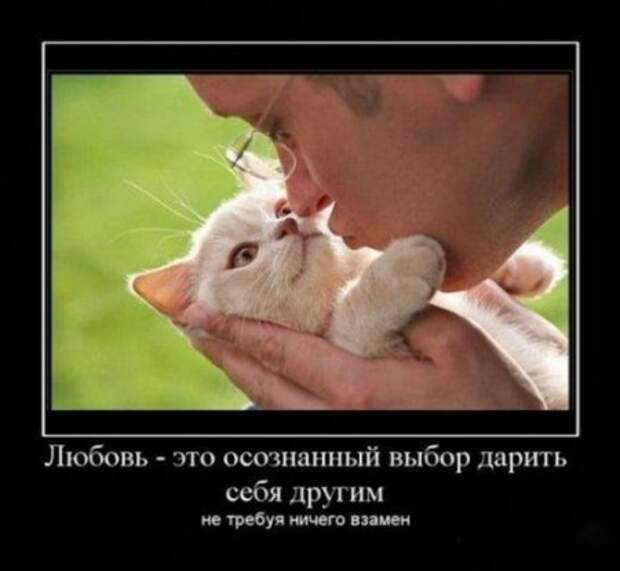 демотиваторы о любви, большая подборка.