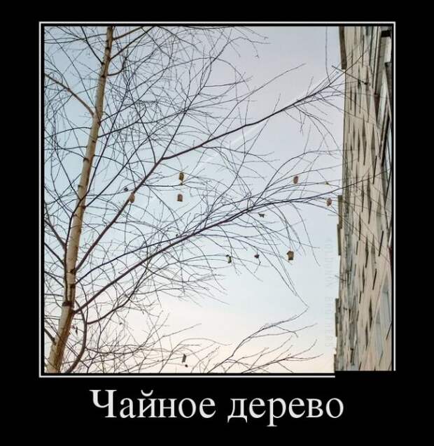 Демотиваторы (30 фото)