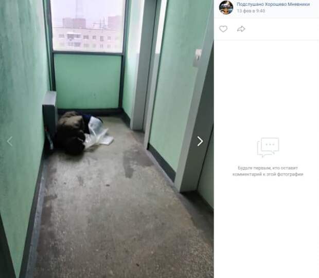 Подъезд дома на проспекте Маршала Жукова обживают бродяги