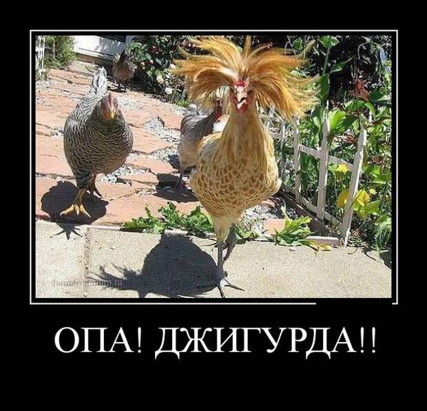 Демотиваторы (30 фото)