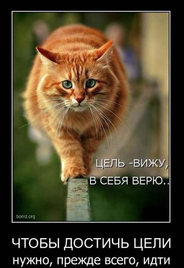 Демотиваторы (45 фото) Демотиваторы (45 фото)