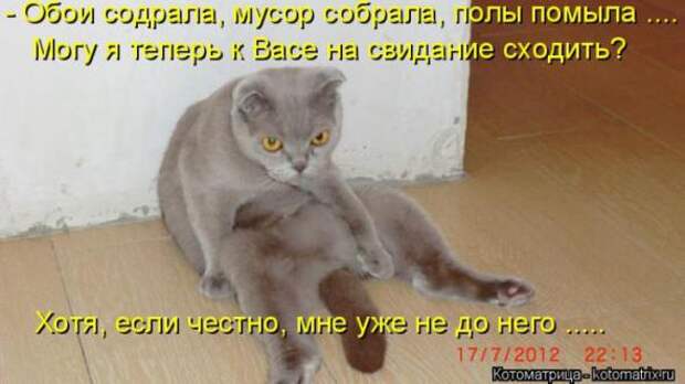 Котоматрицы (картинки с надписями)