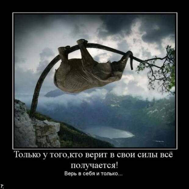 Демотиваторы 13.03.11
