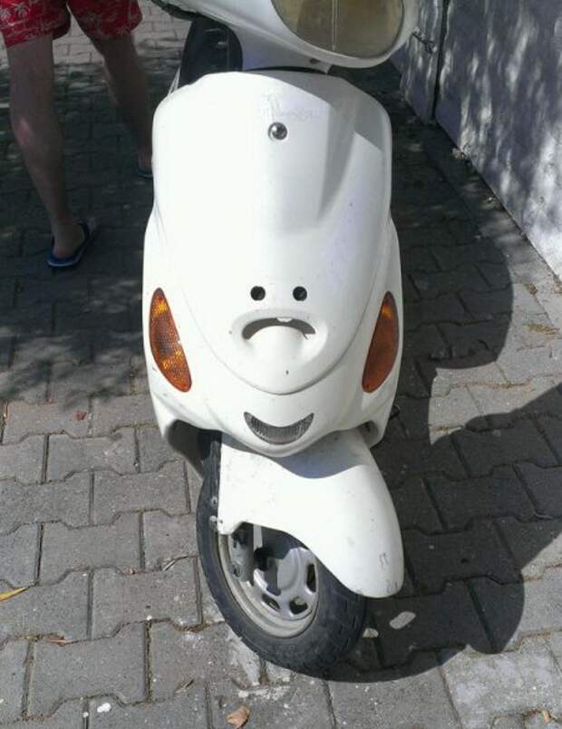 Картинки прикольные и настроение будет хорошим.