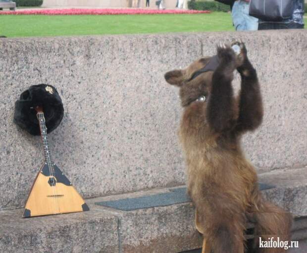 Фото приколы про Россию. Подборка - 270 (85 фото)