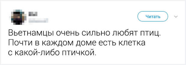 Местные жители рассказали неожиданные факты о жизни в своих странах. Истории о Корее удивляют больше всего