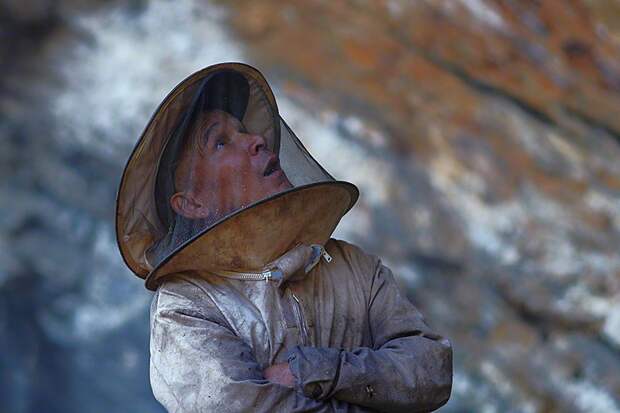 Как собирают мёд диких пчел в Гималаях гималаи, мед, пчелы, сбор, улей